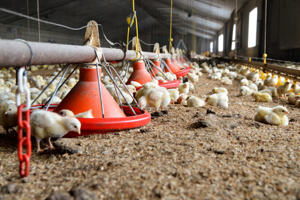 Wasseraufbereitung in der Tierhaltung